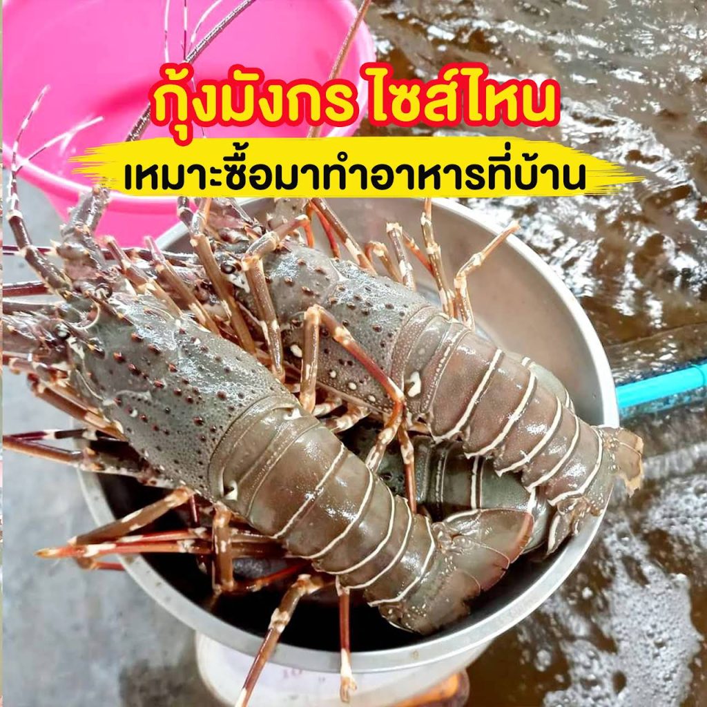 My Image 23